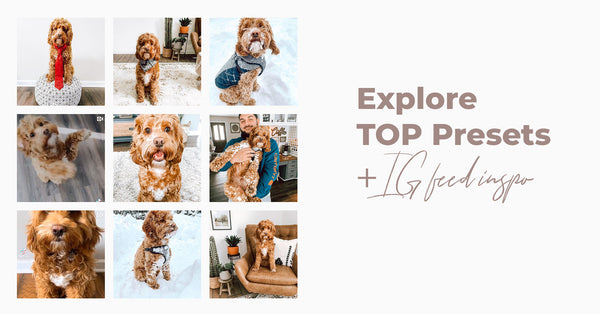 Explore Top Presets from 123 Presets: Edit like a Pro with These Stunning Filters