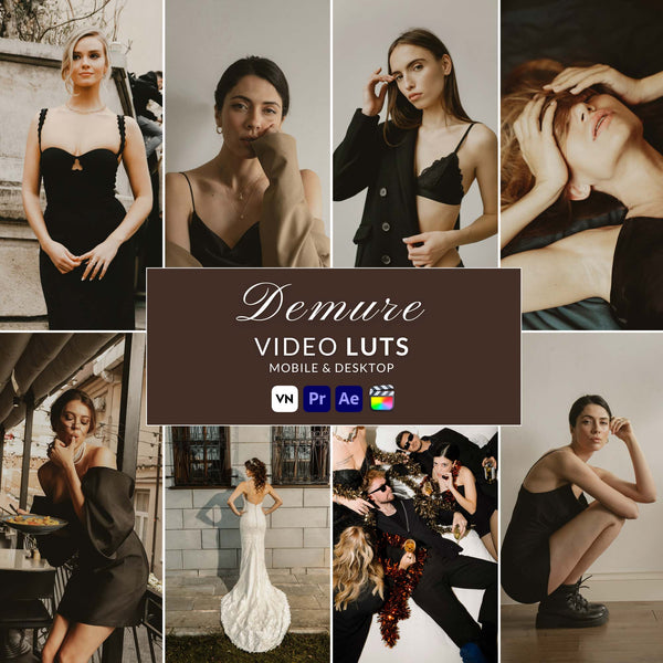 DEMURE VIDEO LUTS (MOBILE & DESKTOP)