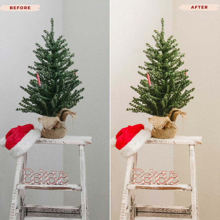 Ai-Optimized MISTLETOE LIGHTROOM PRESETS