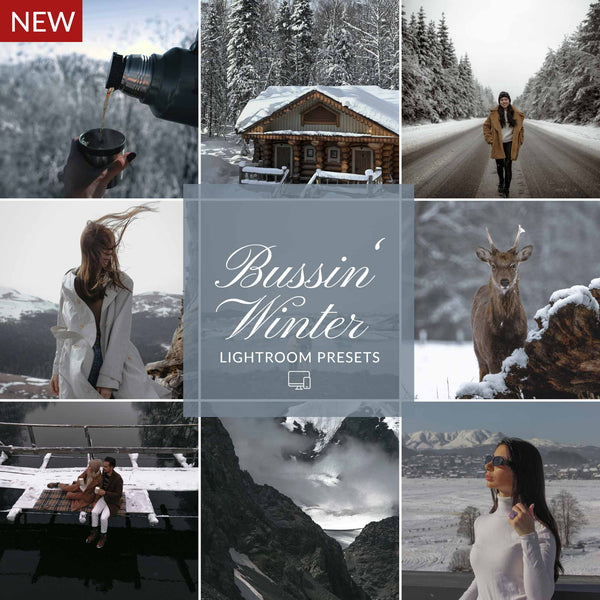 BUSSIN WINTER LIGHTROOM PRESETS