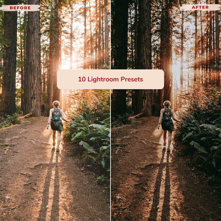 Ai-Optimized FOREST ADVENTURE LIGHTROOM PRESETS