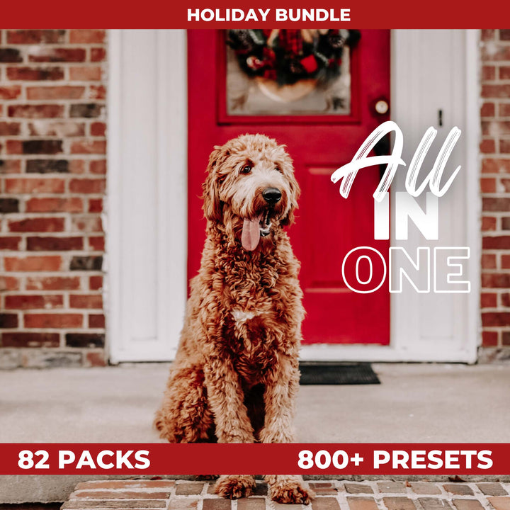 Ai-Optimized HOLIDAY ALL IN ONE BUNDLE (82 PACKS)