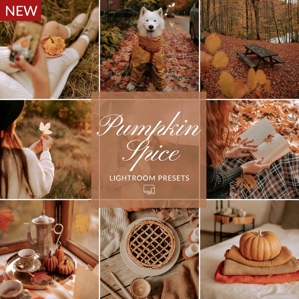 PUMPKIN SPICE LIGHTROOM PRESETS