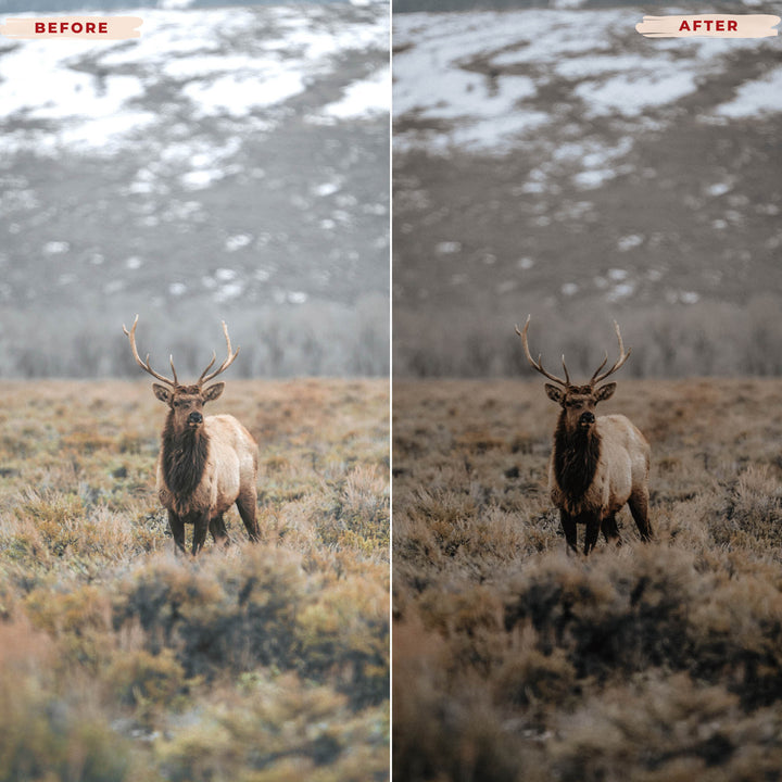 Ai-Optimized TWILIGHT LIGHTROOM PRESETS