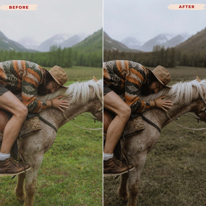 Ai-Optimized TWILIGHT LIGHTROOM PRESETS