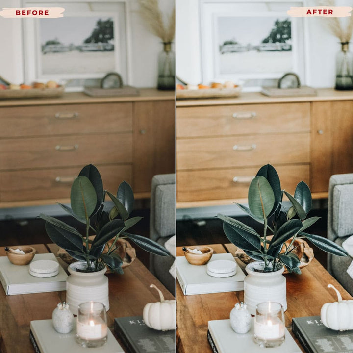 Ai-Optimized BOHO GLOW VIDEO LUTS (MOBILE & DESKTOP)