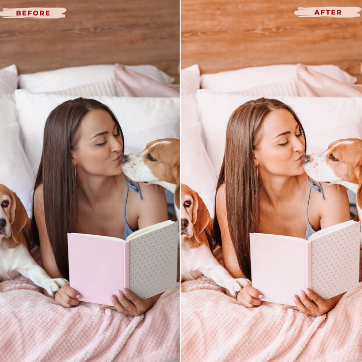 Ai-Optimized BEAGLE LIGHTROOM PRESETS