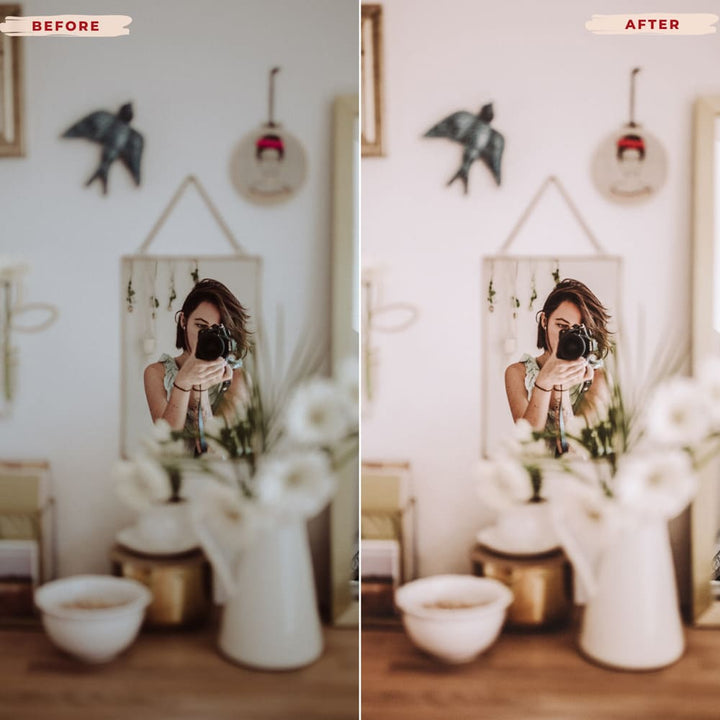 Ai-Optimized CLASSIC LIGHTROOM PRESETS