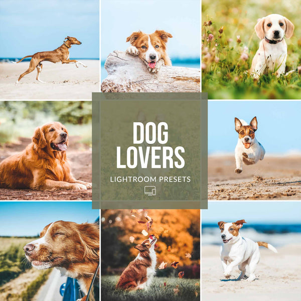 Ai-Optimized DOG LOVERS LIGHTROOM PRESETS