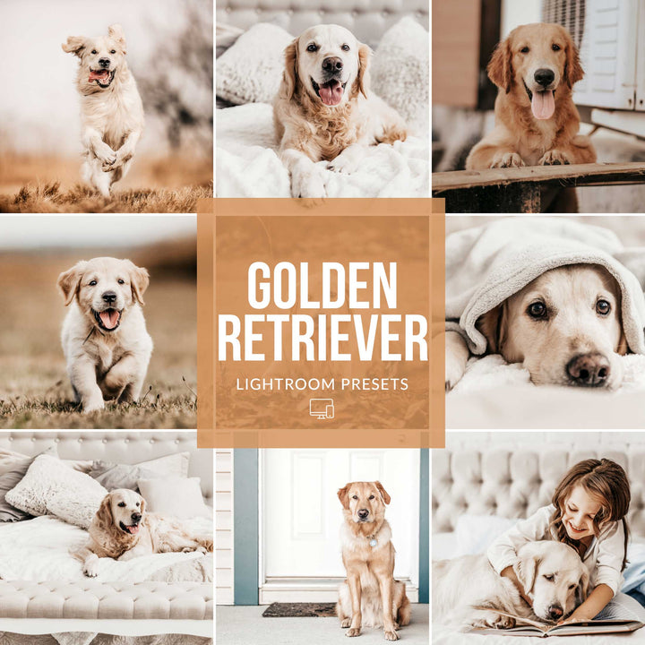 Ai-Optimized GOLDEN RETRIEVER LIGHTROOM PRESETS