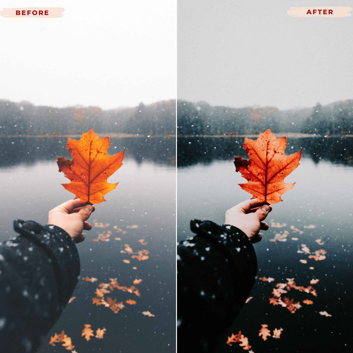 Ai-Optimized MOODY VIBES LIGHTROOM PRESETS