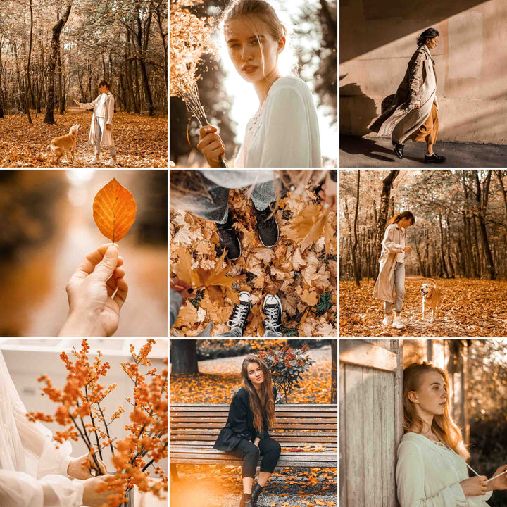 Ai-Optimized OCTOBER LIGHTROOM PRESETS