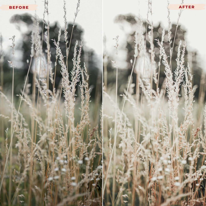 Ai-Optimized SUMMER BREEZE LIGHTROOM PRESETS