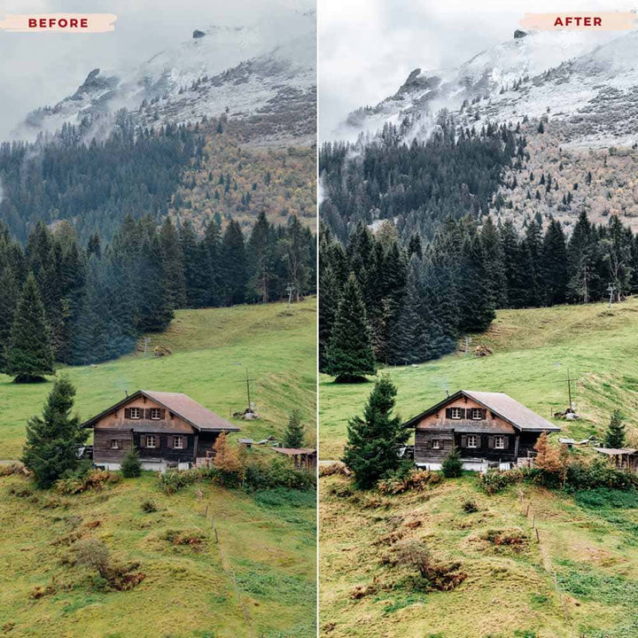 Ai-Optimized LANDSCAPE VIDEO LUTS (MOBILE & DESKTOP)