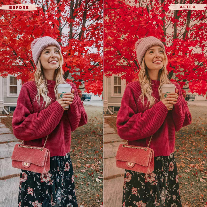 Ai-Optimized VINTAGE LIGHTROOM PRESETS