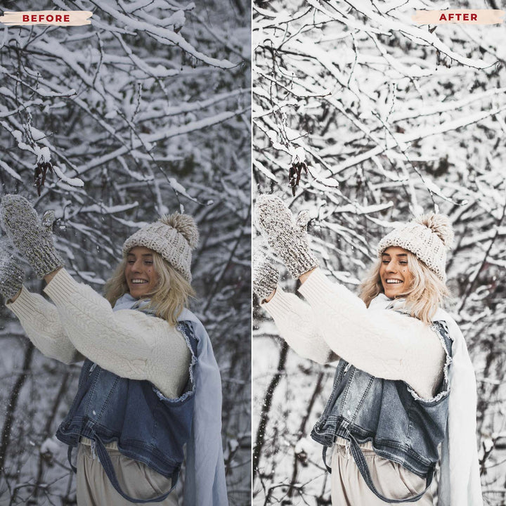 Ai-Optimized BRIGHT WINTER LIGHTROOM PRESETS