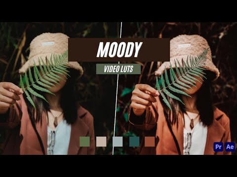 Ai-Optimized MOODY VIDEO LUTS (MOBILE & DESKTOP)