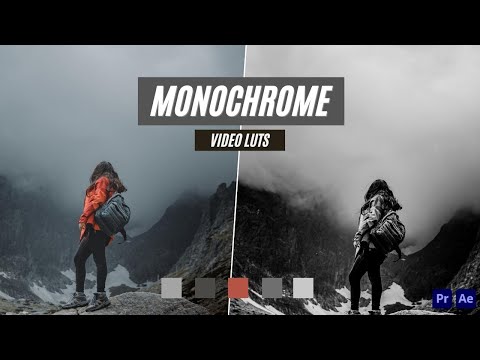 Ai-Optimized MONOCHROME VIDEO LUTS (MOBILE & DESKTOP)