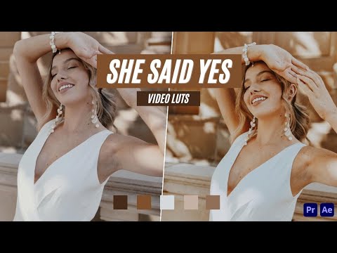 Ai-Optimized SHE SAID YES VIDEO LUTS (MOBILE & DESKTOP)