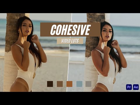 Ai-Optimized COHESIVE VIDEO LUTS (MOBILE & DESKTOP)