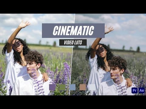 Ai-Optimized CINEMATIC VIDEO LUTS (MOBILE & DESKTOP)