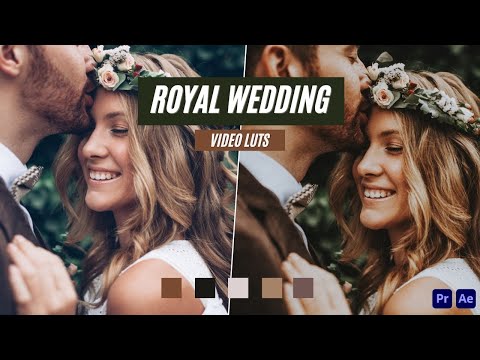 Ai-Optimized ROYAL WEDDING VIDEO LUTS (MOBILE & DESKTOP)