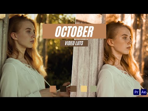 Ai-Optimized OCTOBER VIDEO LUTS (MOBILE & DESKTOP)