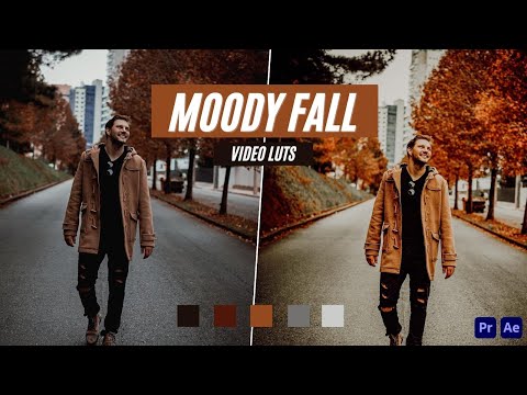 Ai-Optimized MOODY FALL VIDEO LUTS (MOBILE & DESKTOP)