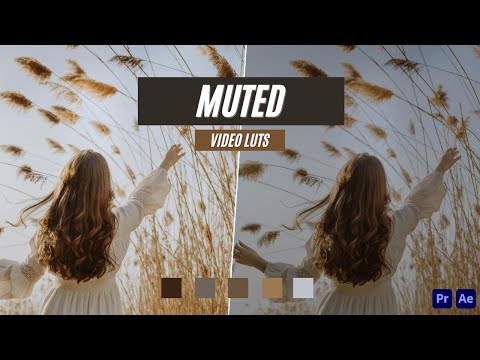 Ai-Optimized MUTED VIDEO LUTS (MOBILE & DESKTOP)