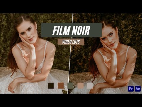 Ai-Optimized FILM NOIR VIDEO LUTS (MOBILE & DESKTOP)